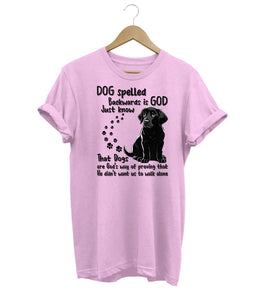 Dog Spelled Backwards