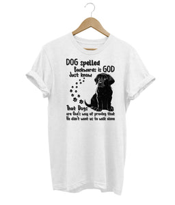 Dog Spelled Backwards